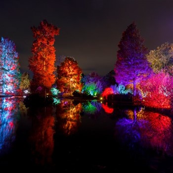 Glow at Wisley Gardens with Afternoon Tea