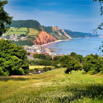 Jurassic Devon - Sidmouth