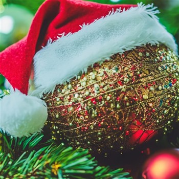 Christmas Lunch Party