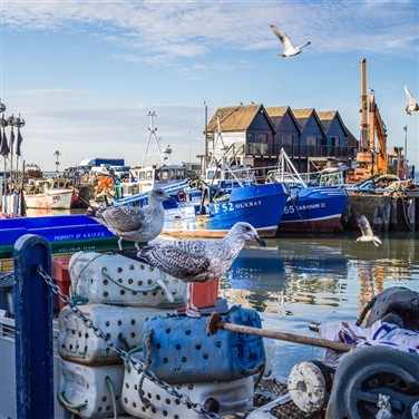 Whitstable Seaside Day Tour