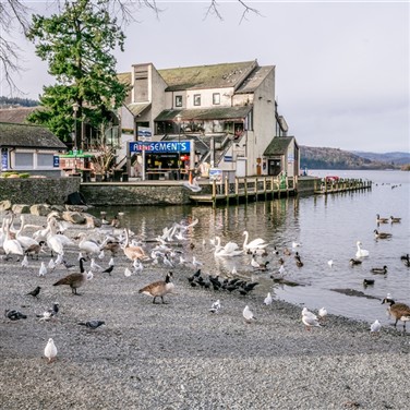 Bowness