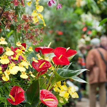 Kew Gardens