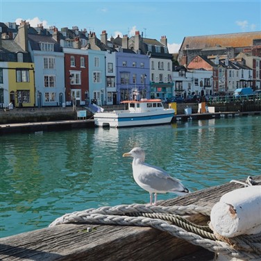 Jurassic Coast