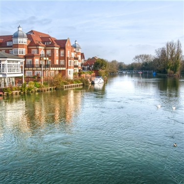 Windsor